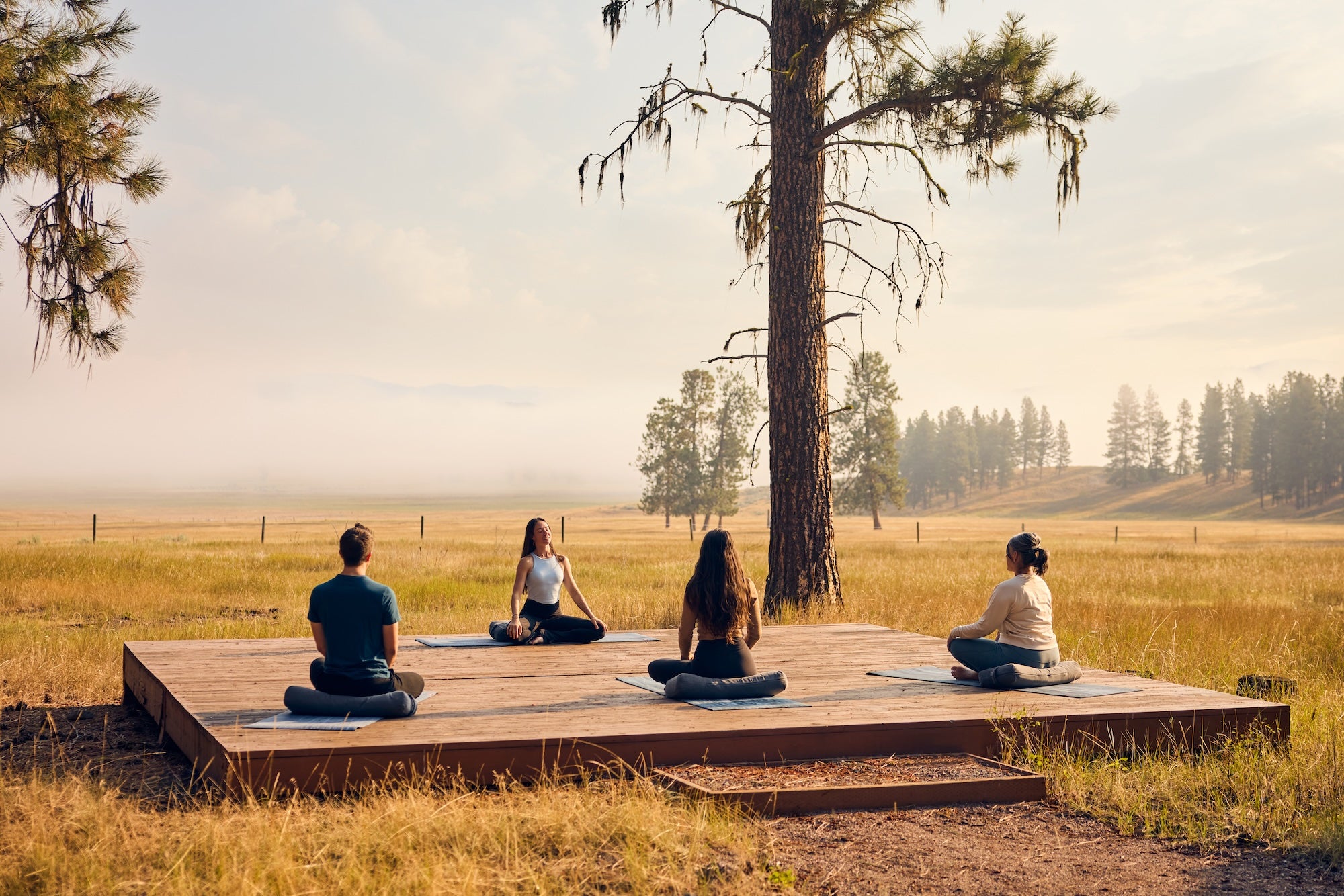 20240811_Yoga_92A0589.jpeg__PID:169d49f4-f483-4309-aac0-549caa89d2ef