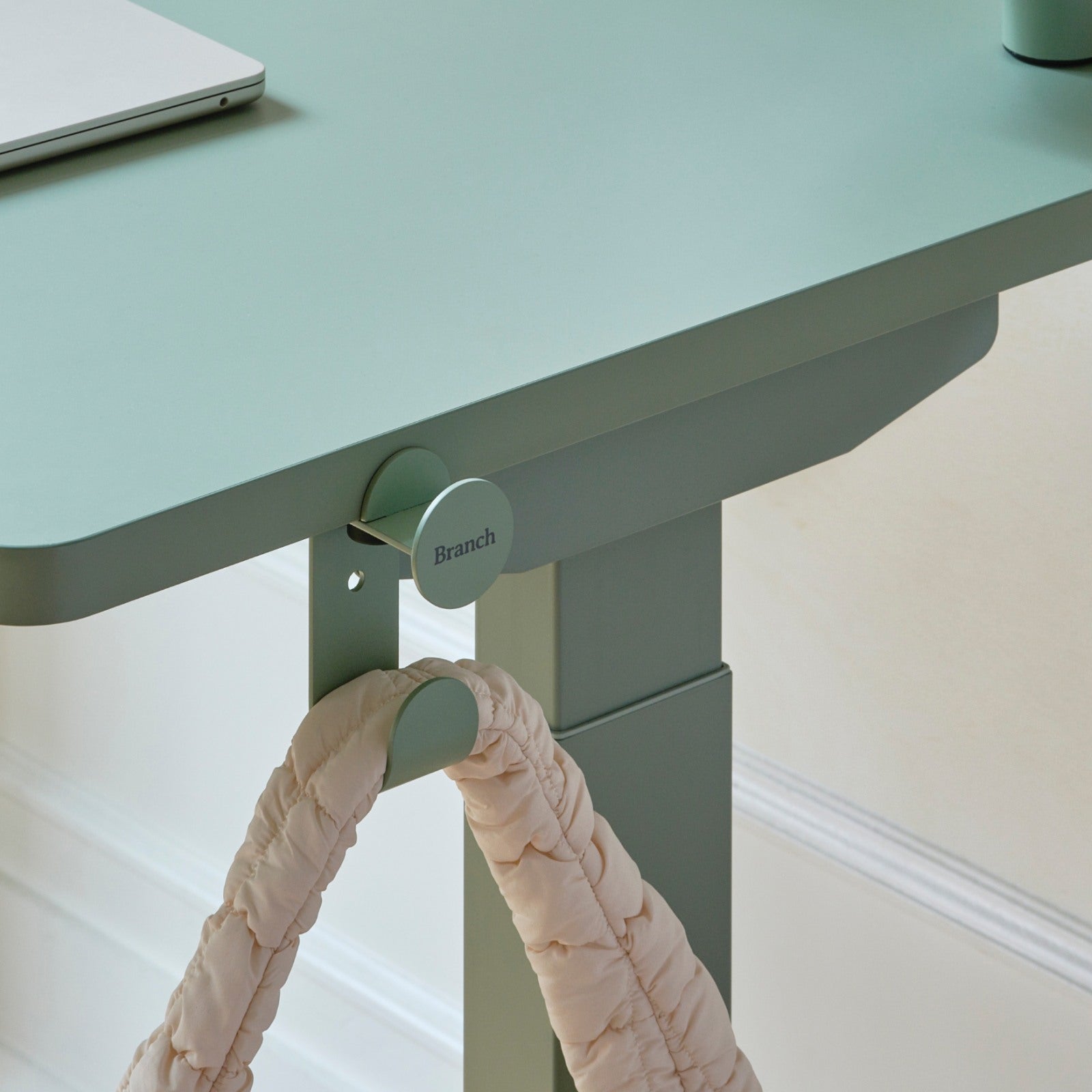 Desk Hook