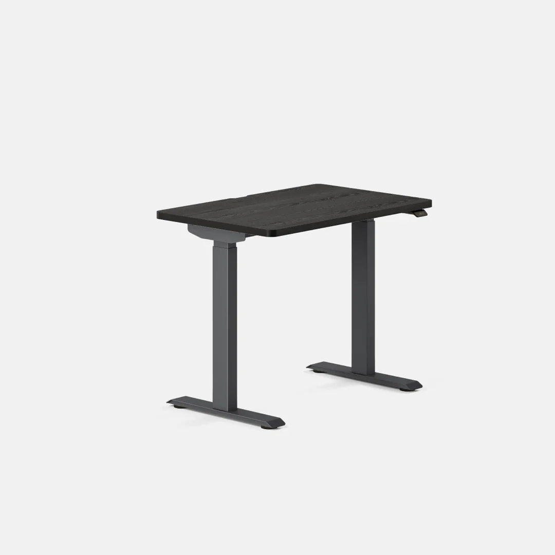 Duo Standing Desk