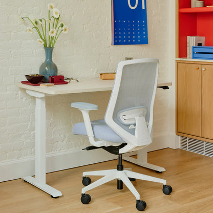Ergonomic Chair Pro