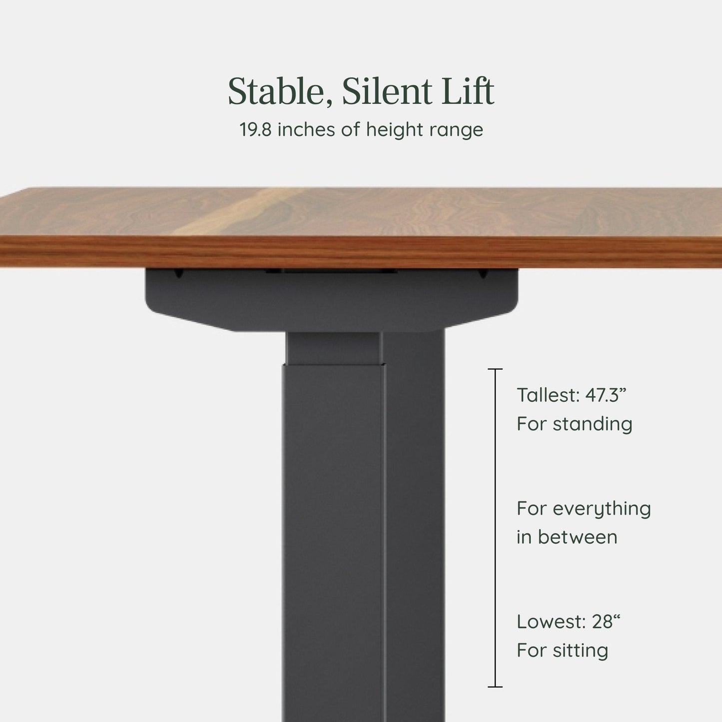 Duo Standing Desk