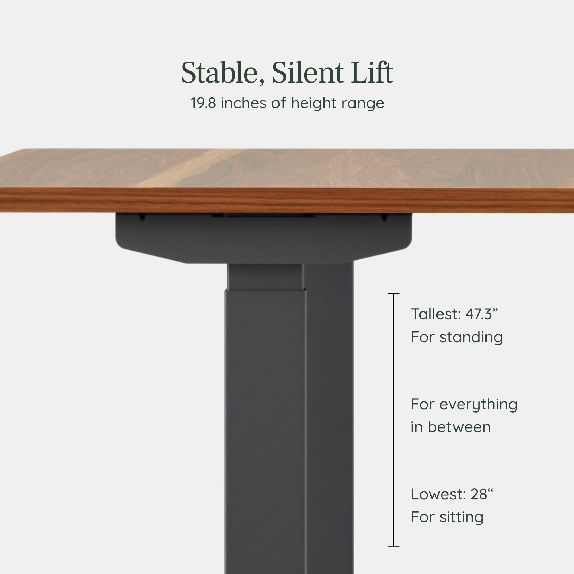 Duo Standing Desk