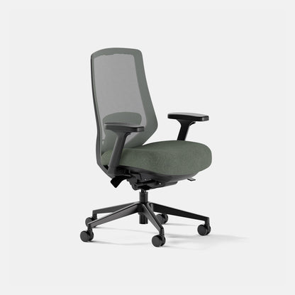 Ergonomic Chair Pro