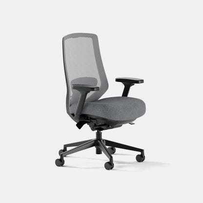 Ergonomic Chair Pro