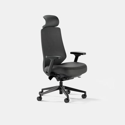 Ergonomic Chair Pro
