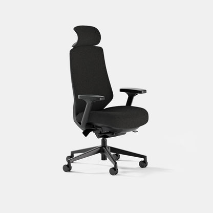 Ergonomic Chair Pro