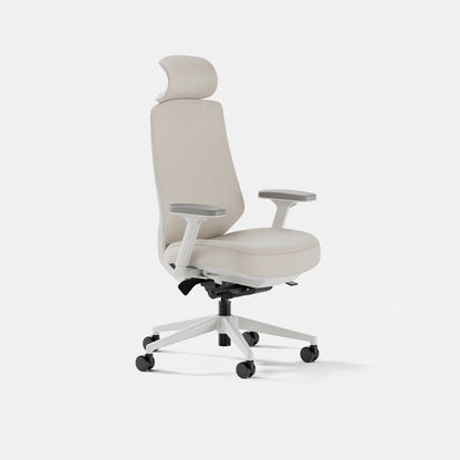 Ergonomic Chair Pro