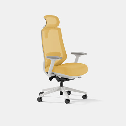 Ergonomic Chair Pro