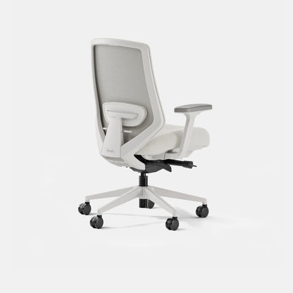 Ergonomic Chair Pro