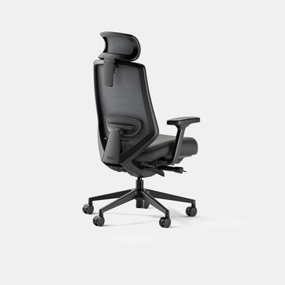 Ergonomic Chair Pro