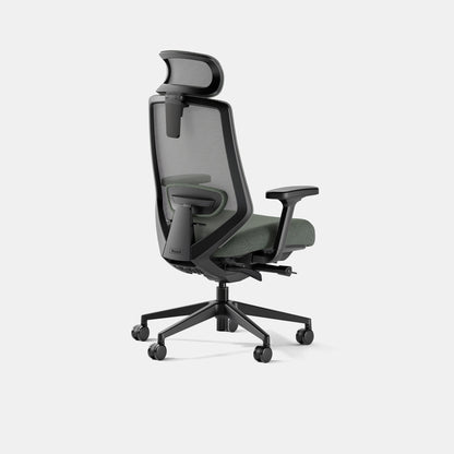 Ergonomic Chair Pro