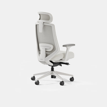 Ergonomic Chair Pro