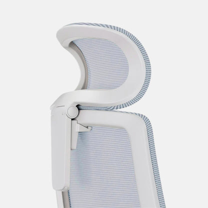 Ergonomic Pro Headrest