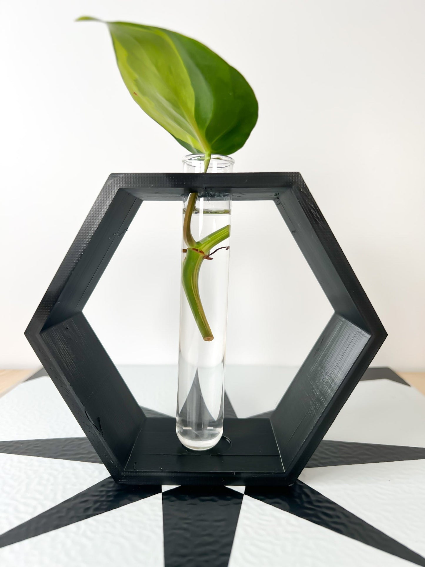 Hexagon Propagation Station