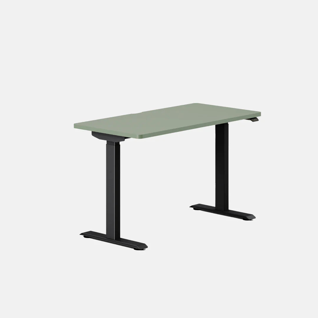 Duo Standing Desk
