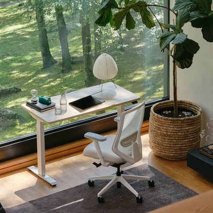 Ergonomic Chair Pro